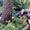 Home gardening program implemented in the office premises